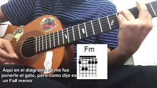 Camuflaje  Gustavo Cerati TUTORIAL GUITARRA [upl. by Schafer]