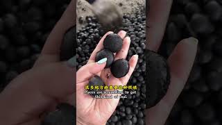 Cheap pulverized coal to do briquettes busy every day [upl. by Jegar]