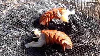 Lobster  Grilled Puerto Nuevo MexicoStyle over wood coals [upl. by Chapman]