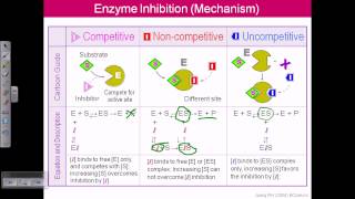 Enzyme inhibition [upl. by Tucky664]