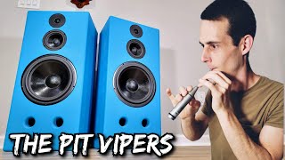 Building The Pit Vipers  Audiophile Party Speaker [upl. by Chavez181]