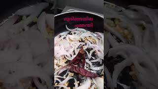 മുരിങ്ങയില ചമ്മന്തി food muringayila chammanthi recipe [upl. by Jamila172]