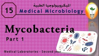 Medical Microbiology 15 ch 13 Mycobacteria part 1 ميكوبكتيريا ج 1 [upl. by Aneehsal]