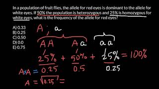 How to find frequency of the alleles in a population [upl. by Cassell]