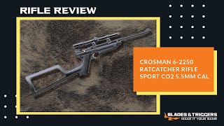 Crosman 2250 Ratcatcher Rifle Review [upl. by Tryck]