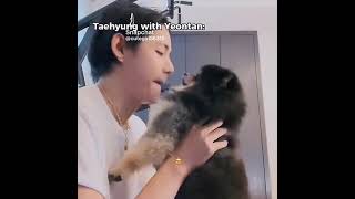 taehyung and yeontan  jungkook and bam 💜💜💜💜🙈🙈🙈🙈🙈💜💜💜💜💜💓 [upl. by Alilak]