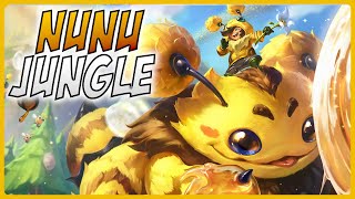 3 Minute Nunu Guide  A Guide for League of Legends [upl. by Neeruam647]