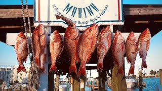 Fresh Gulf Coast Red Snapper on the Big Green Egg [upl. by Ikiv208]