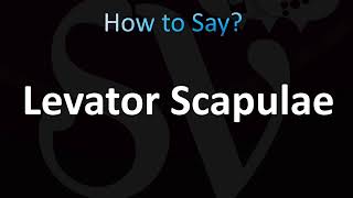 How to Pronounce Levator Scapulae Muscle CORRECTLY [upl. by Dewhirst36]