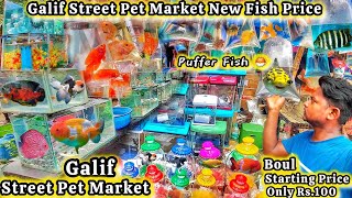 Galif Street Pet Market New Video  Galif Street Pet Market New Fish Price galiffstreet aquarium [upl. by Naie]