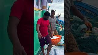 We Helped The Boat By Giving It Ice In The Deep Sea Shorts IndianOcean fishing [upl. by Ajnat]