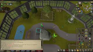 OSRS Combat Achievement  Hespori Special Attack Combat Achieve [upl. by Urita435]