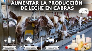 Cómo gestionar y qué alimentar a las cabras para aumentar la producción de leche [upl. by Arayk]