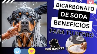 Bicarbonato ✅ Beneficios y Usos [upl. by Ecurb]