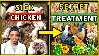 Common Chicken Diseases Prevention And Treatment [upl. by Giff511]