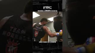 David Morrell Jr ULOADS on the Heavy Bag [upl. by Zirkle]