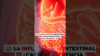 🤕 La INFLAMACIÓN INTESTINAL 💥 ¿CAUSA RESISTENCIA a la INSULINA ❌👩‍⚕️ ​⁠⁠especialistaendiabetes [upl. by Kristofer]