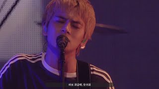 DISH 딧슈  猫 고양이 네코 neko 한국어 번역 live [upl. by Aja]