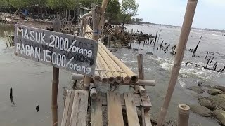 Hasil mancing bagan favorite  bagan bang Masdi muara pertamina [upl. by Zamir]