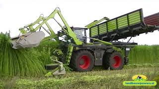 Hempharvest  Hennep maaien met omgebouwde Claas Xerion 4000 [upl. by Edijabab]