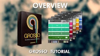 Grosso Tutorial  Overview [upl. by Ressan]