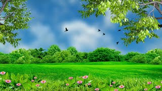 Nature background video effect  landscape background hd [upl. by Georgie]