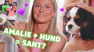 SKAL JEG FÅ MEG NY HUND  AMALIE OLSEN [upl. by Elpmid]