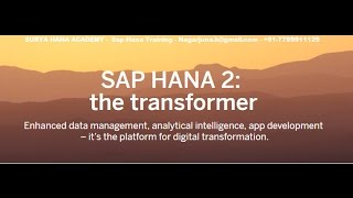 saphana2training  Demo on Feburary 22 2018  730 am IST s4 s4hana [upl. by Einnahpets]