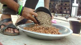 Easy Bonsai Soil Mix  সহজেই তৈরি করুন বনসাই এর মাটি [upl. by Saucy]