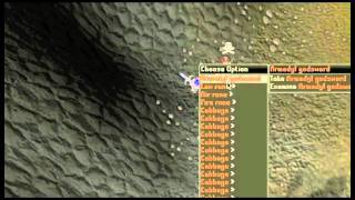 Luring Video  Runescape 2011  Ka0s Arch3r  200300m Blessed SHIELD LURE [upl. by Annerb815]