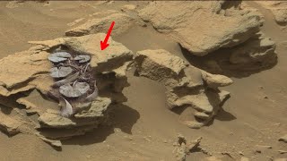 Perseverance Rover Captured a New Video Footage of Mars  New Mars Video [upl. by Jacinta804]