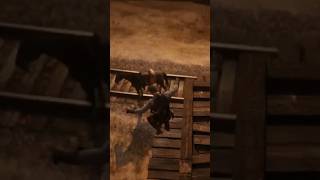 This is how you mount your horse rdr2 [upl. by Rothschild]