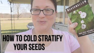 How to Cold Stratify Seeds [upl. by Anemolif]