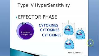 Medicine 087 Interferon INF alpha gamma cytokines [upl. by Bourn]