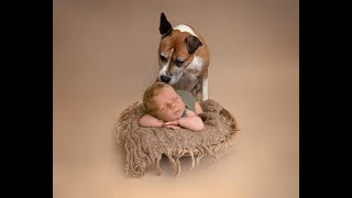 Nyföddfotografering Kristianstad med hund [upl. by Akirret520]