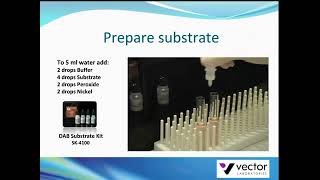 Tissue staining with DAB Peroxidase Substrate Kit from Vector Laboratories [upl. by Alym234]