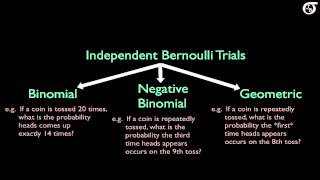 Overview of Some Discrete Probability Distributions BinomialGeometricHypergeometricPoissonNegB [upl. by Ainoek]