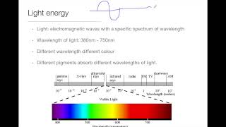 IMAT Biology  Bioenergetics Part 3 [upl. by Halludba]