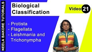 Biological Classification  NEET  Protista  Flagellata  Leishmania amp Trichonympha  Neela Bakore [upl. by Bulley]