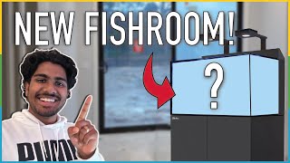 My Brand New Fishroom is ALMOST COMPLETE Full Tour [upl. by Adran]