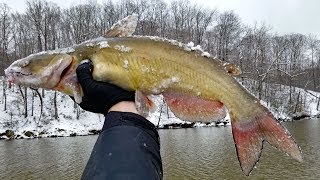 How to Catch Catfish in the Winter  Extreme Winter Catfishing [upl. by Naruq]