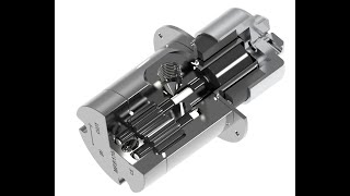 How does precision gear pump look like [upl. by Eenafit]