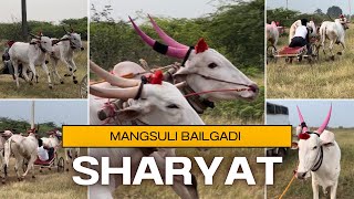 Mangsuli bailgadi sharyat  goldshinevideography  aatharvkp [upl. by Sirred]