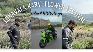 Lonavalakarvi flower festival 🪻🪻 Aamby valley  Lonavala hidden gem with detailed location shorts [upl. by Araid]