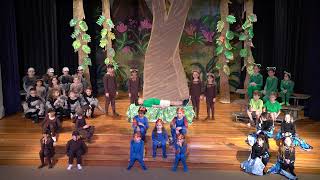 1st Grade Play  The Great Kapok Tree 2024 [upl. by Filomena]