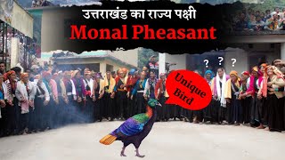 Monal Pheasant उत्तराखंड का राज्य पक्षी कैसे बना  Uttarakhand State Bird Himalayan Monal  History [upl. by Danieu]