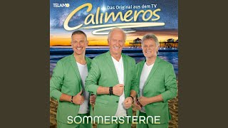 Sommersterne Hitmix [upl. by Elboa252]