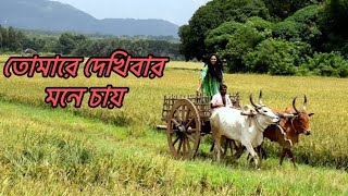 তোমারে দেখিবার মনে চায়  Tomare Dekhibar Mone Chay  Coverd By Kazal Roy [upl. by Ayian]