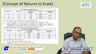 Returns to Scale In Punjabi [upl. by Ibbed]