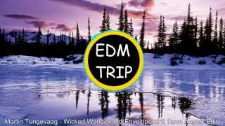 Hands Up Martin Tungevaag  Wicked Wonderland Enveloperz amp Rave Angelz Bootleg Edit [upl. by Hsetirp]